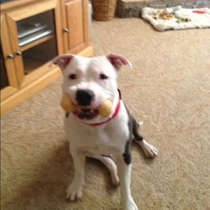 Meet your Posher, Timothy